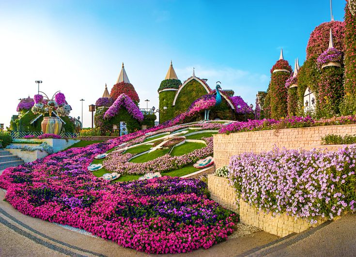 Dubai Miracle Garden