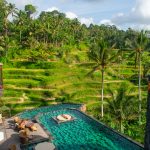 Explore Ubud Town Centre: Culture, Nature & Wellness